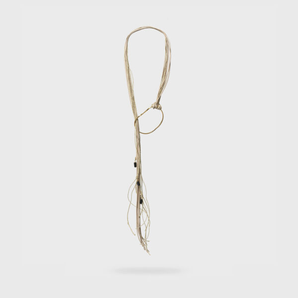 Kelp