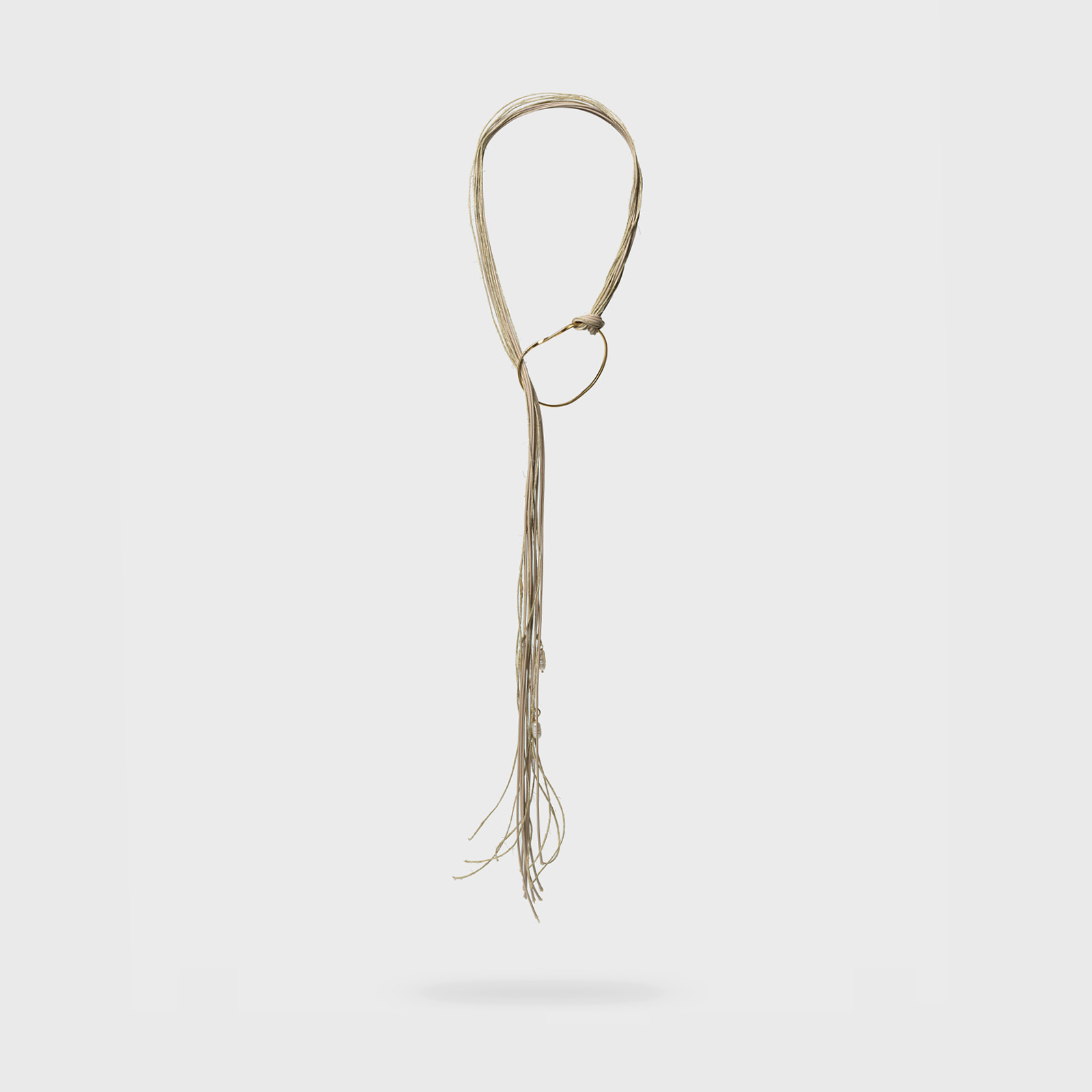 Kelp