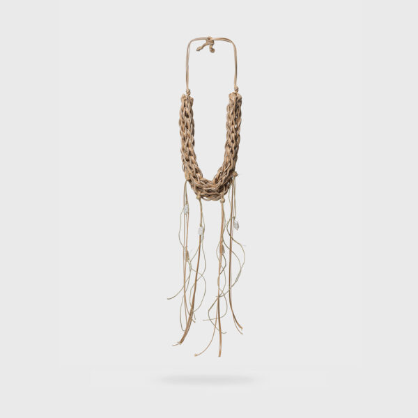 Cereus