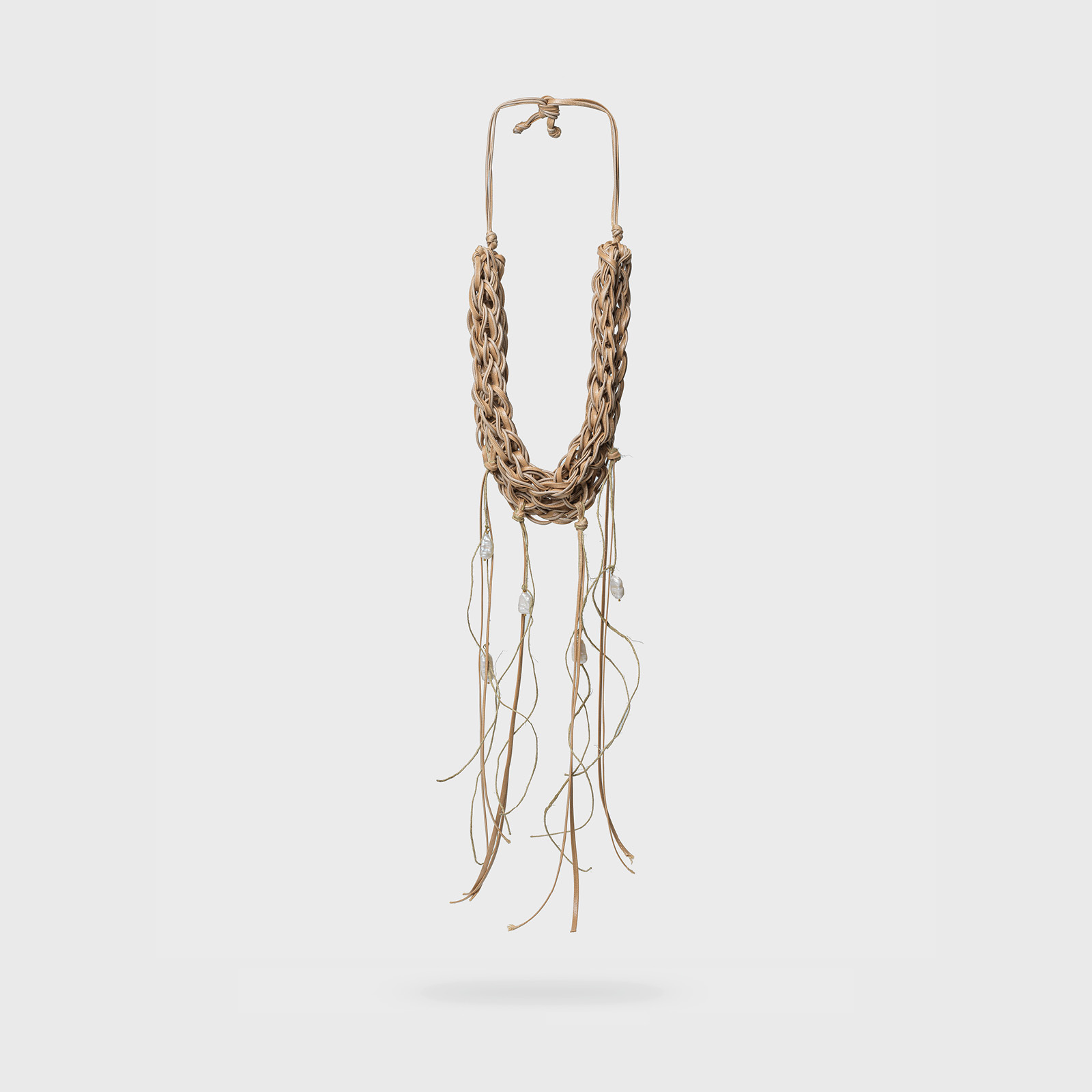 Cereus
