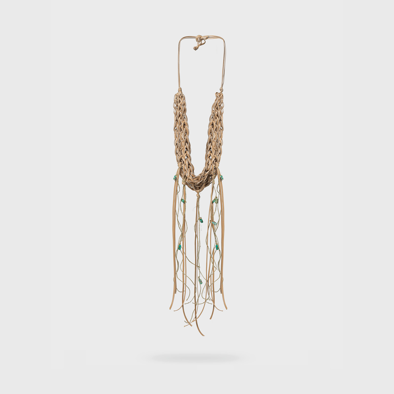 Cereus