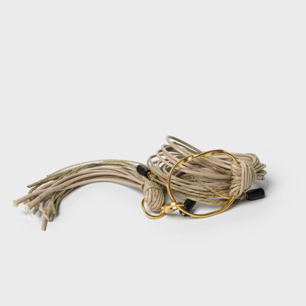 Kelp